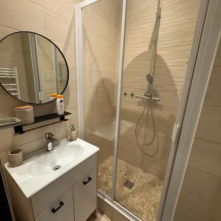 Elegant renovated apartment 2 bedrooms Grenoble Grenoble
