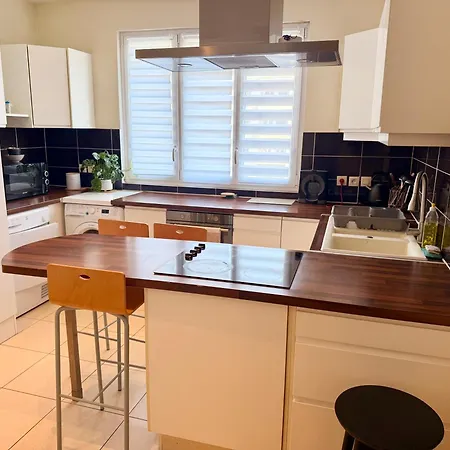 Elegant renovated apartment 2 bedrooms Grenoble