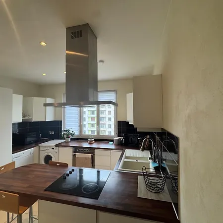 Elegant renovated apartment 2 bedrooms Grenoble Appartement