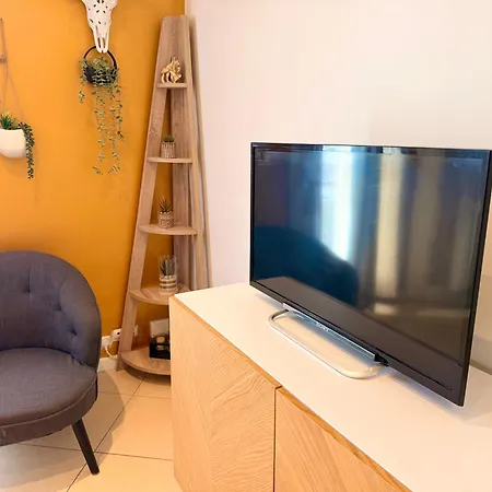 Elegant renovated apartment 2 bedrooms Grenoble Appartement *