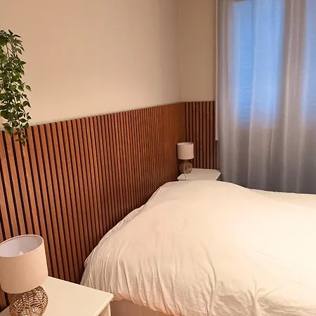 Elegant renovated apartment 2 bedrooms Grenoble * Grenoble